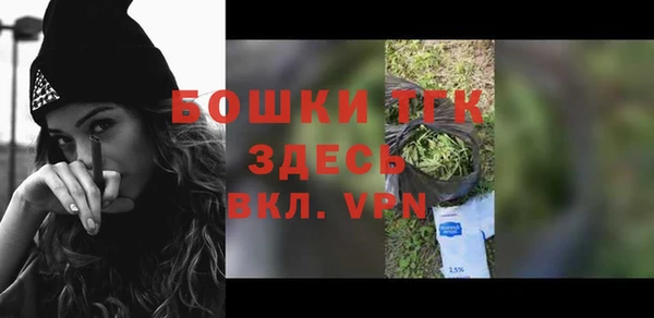 ешки Арсеньев