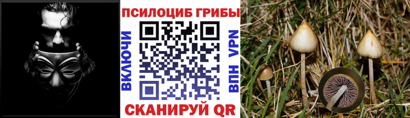 Псилоцибиновые грибы Magic Shrooms Карабулак